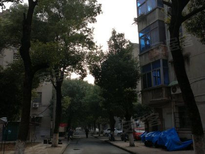 戚厂工房北区深度解析 居住优势与不足，以及周边经纪人专业评价